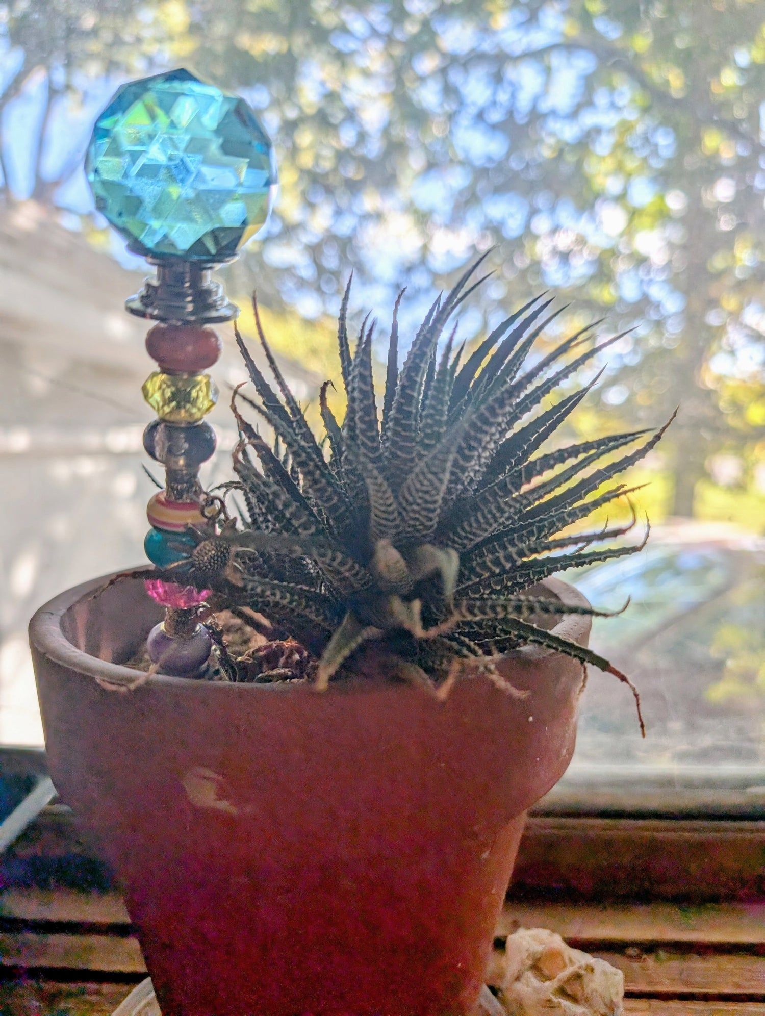Nana's Plant Pretties™ - 7 inch